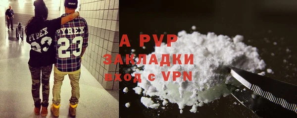 гидра Аша