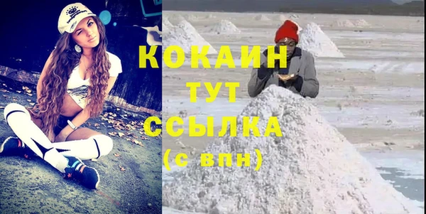 гидра Аша