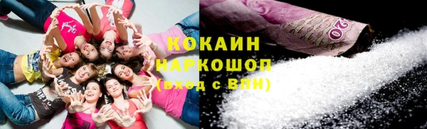гидра Аша